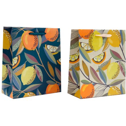2/A Citus Zest Gift Bag, 23cm 
