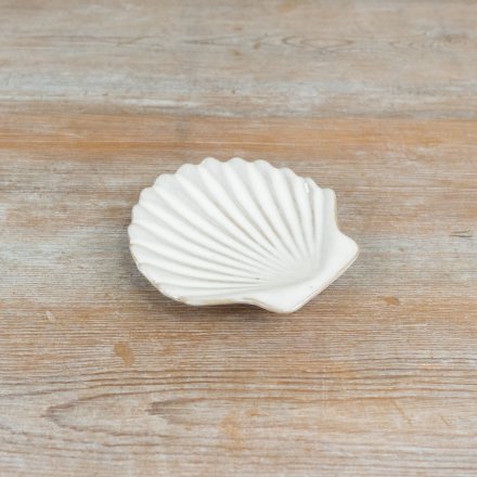 Elegant Natural White Shell Dish, 11cm 