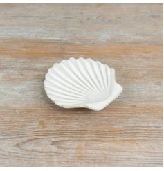 Elegant white shell dish, perfect for small treats or decorative accents