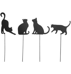 Bring playful charm to your space with the Cat On Stick collection.