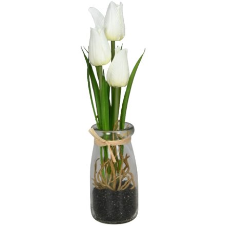 Tulips in Vase, 21.5cm
