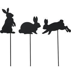 Bring charm to your home or garden with this delightful set of three assorted Rabbit-on-Stick decorations.
