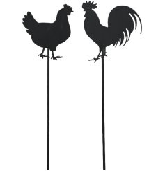 Handcrafted charming birds on durable iron stakes, ideal for decorating your garden.