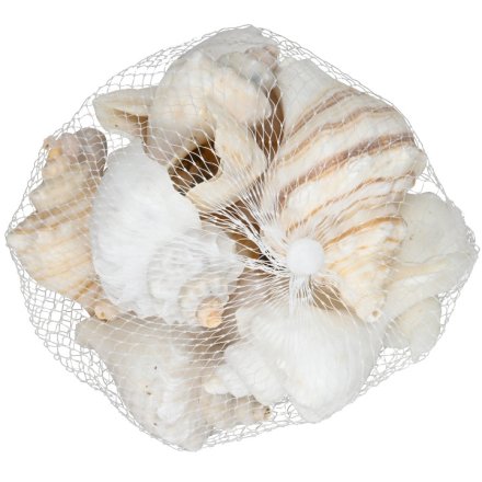  Natural Shell Set in a Bag, 8cm 