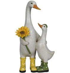 A charming duck duo dressed in wellington boots