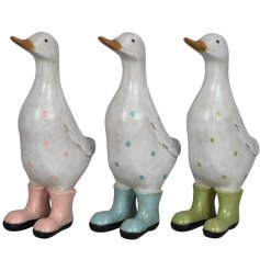 This charming assortment of 3 resin ducks wearing wellingtons is utterly adorable.