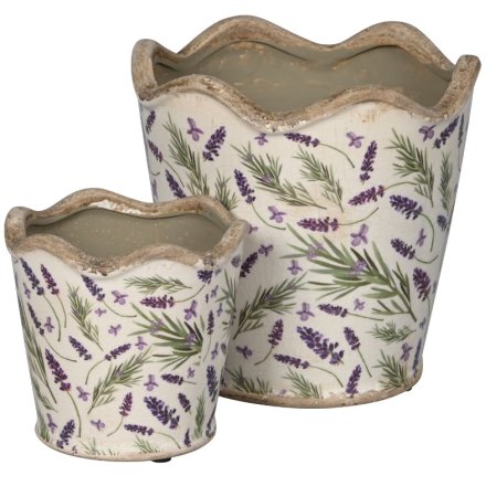 Lavender Planter, Set 2 