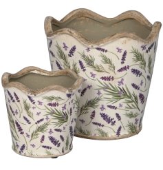 A set of 2 rustic stoneware planters with a scalloped edge and on trend lavender design. 