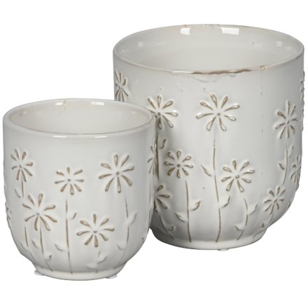 S/2 Daisy Cream Planters, 14cm