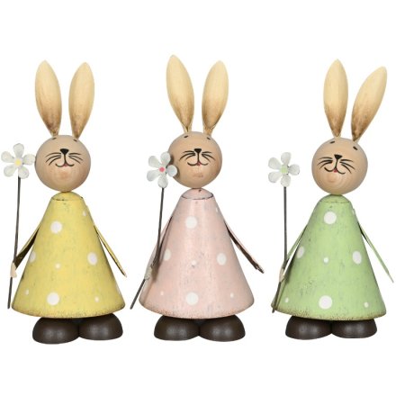 Bunny W/Daisy, 3a