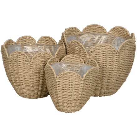Set of 3 Blossom Natural Grass Storage Baskets 