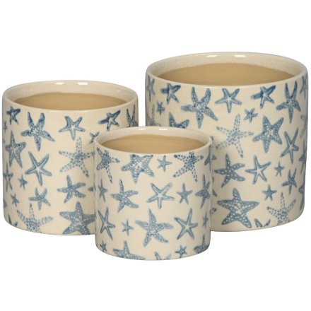 Starfish Planter, Set 3