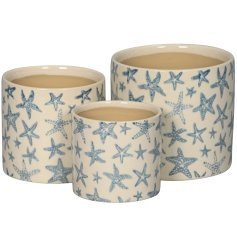 A set of 3 cream planters, each with a stylish blue starfish pattern. Each has a subtle crackle glaze finish.