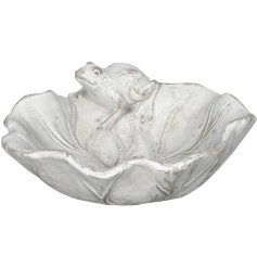Charming frog bird feeder resting on a leaf, an ideal garden accessory.