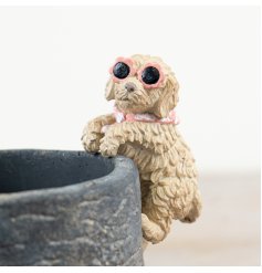 a cute dog wearing sunglasses pot hanger 