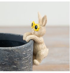 Adorable rabbit planter hanger featuring stylish sunglasses design.
