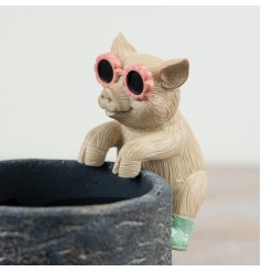 a cute little piggy pot hanger 