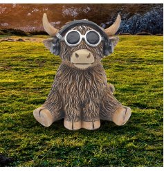 A fun highland cow with dj headphones 