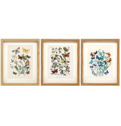 Add a touch of natural beauty and calm with this 20x25 Butterflies Wall Art,