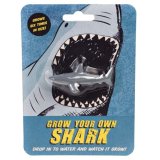 Unleash your inner marine biologist and dive into an ocean adventure at home with the Grow Your Own Shark kit 