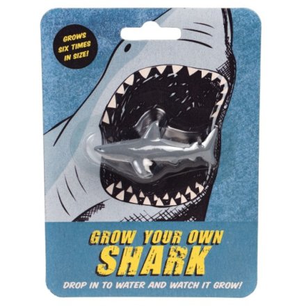 Discover marine life at home with the Grow Your Own Shark kit and embark on an exciting ocean adventure!