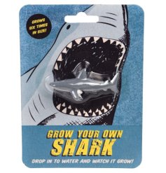 Discover marine life at home with the Grow Your Own Shark kit and embark on an exciting ocean adventure!