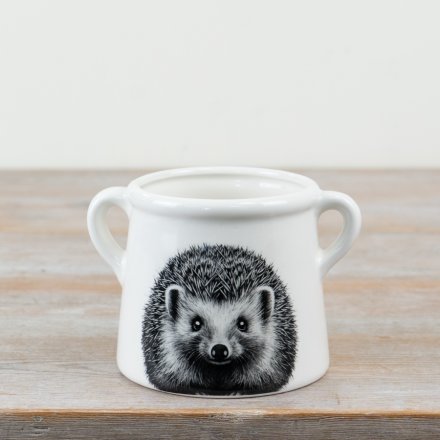 15cm Hedgehog Plant Pot