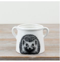 Lovely white glazed pot featuring an adorable hedgehog design on the front.