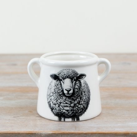 15cm Sheep-Shaped Plant Holder