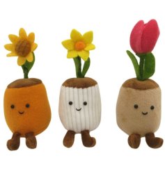 Add a whimsical burst of color and charm to your home with our 15cm Plant In Pot Teddy