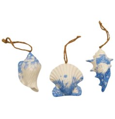 Add seaside charm to your space with this 8cm Shell Hanging Decoration