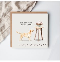 Did Someone Say Cake? Delight in beautifully crafted cakes that make every occasion extra special