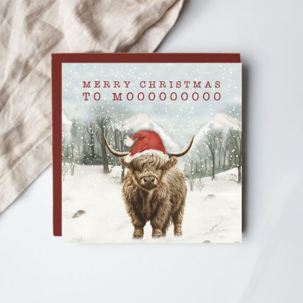 Merry Christmas to MOO