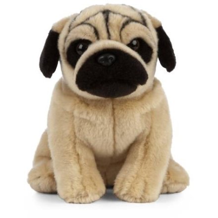 Bring home endless cuddles with this plush pug teddy 