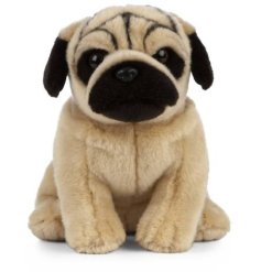 Bring home endless cuddles with this plush pug teddy 