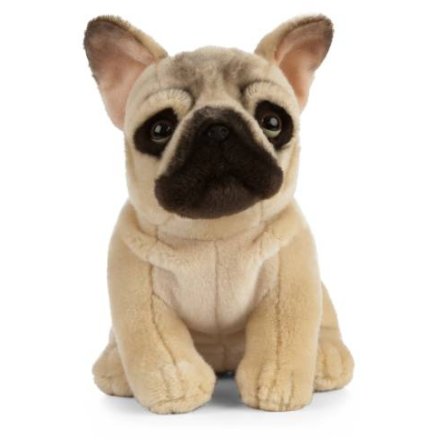 a cute sitting frenchie soft toy 