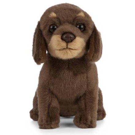 a cute cuddly dachshund plush toy  