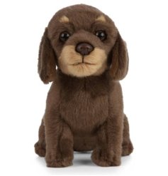 a cute cuddly dachshund plush toy  