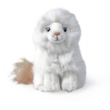 a cute cuddly cat companion 