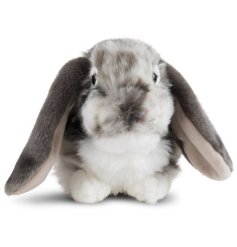 Bring home cozy charm with the Living Nature Grey Dutch Lop Eared Rabbit Plush 