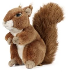 a supersoft cuddly squirrel toy 