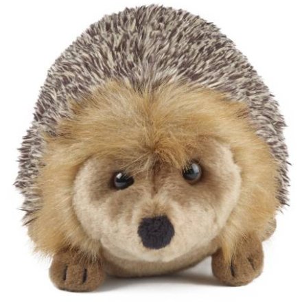 Large Hedgehog Plush Stuffed Animal Toy, 22cm 