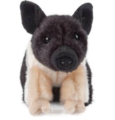 Snuggle up wherever you are with this super cute piglet from the Living Nature collection. 
