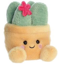 A small soft toy with huge cuddles to give! 