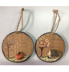 Bring warm autumn vibes to your space with this rustic round bark hanging ornament.