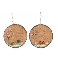 Bring warm autumn vibes to your space with these charming round wooden plaques.