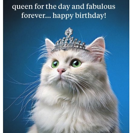 16cm Queen for the day Greetings card