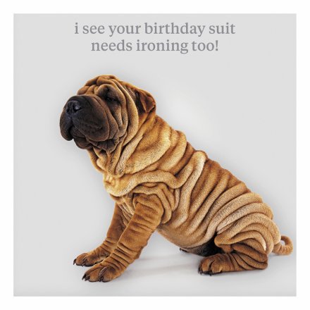 16cm Shar Pei Birthday Suit Ironing Humor Greeting Card