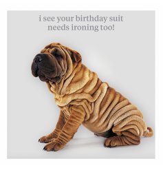 Celebrate with a playful Shar Pei in its ‘birthday suit’—an ideal gift for dog lovers!