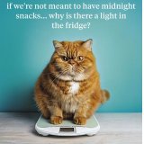 Celebrate in purr-fect style with the Birthday Cat Scales Greetings Card